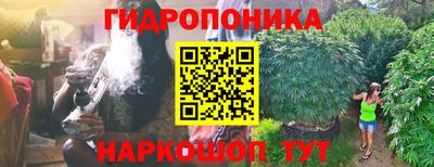 COCAINE Можга