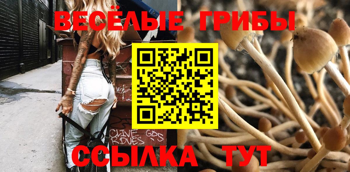 Галлюциногенные грибы MAGIC MUSHROOMS  Псилоцибиновые грибы мухоморы  хочу   Вход с VPN  Усть-Илимск 